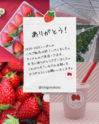 いちごの古都 – 奈良県産の“古都華”を取り扱ういちごの販売店
